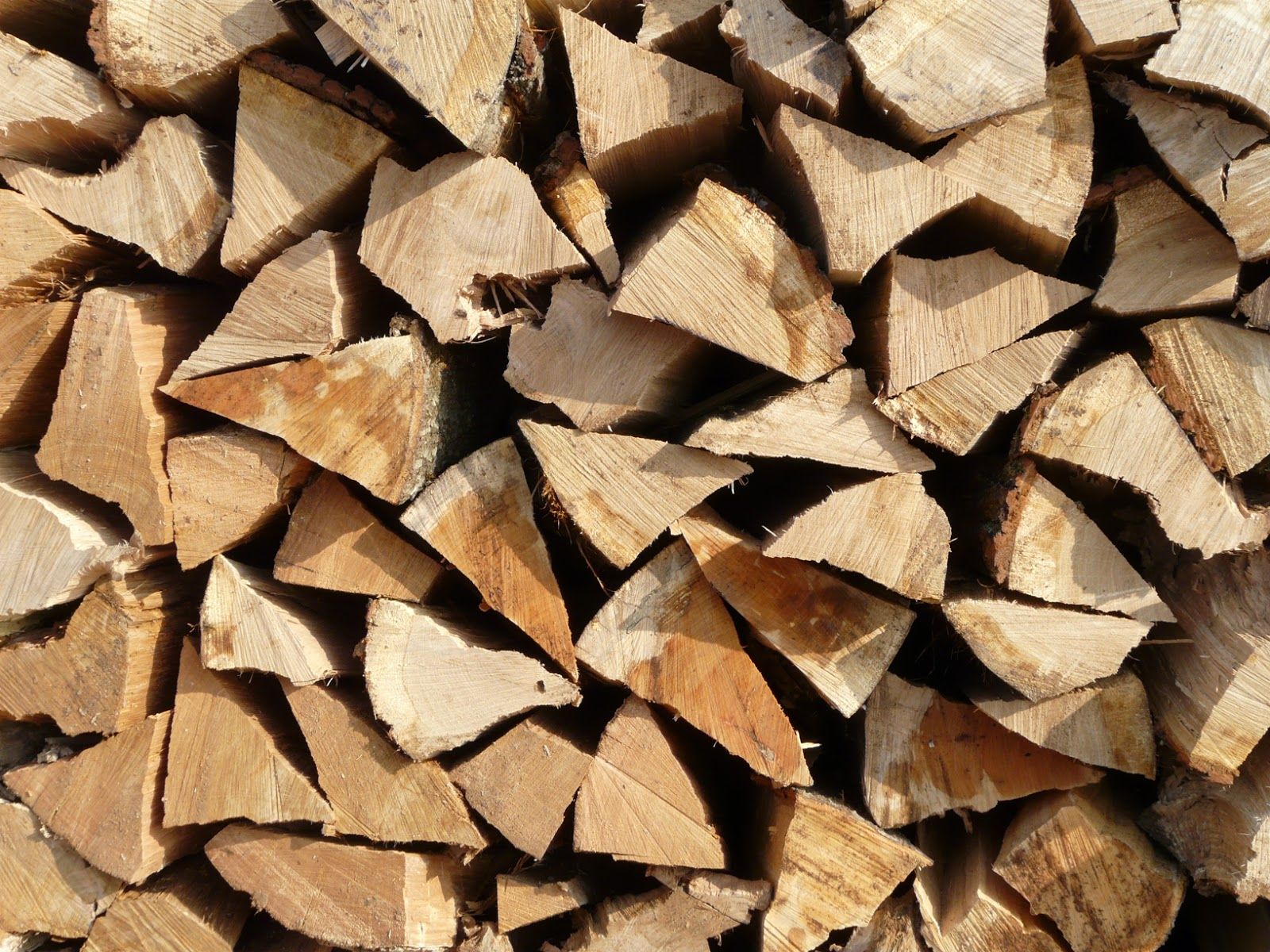 Timber log.jpg