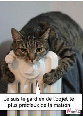 ob_4a8dca_chat-humour-1-172971585.jpg