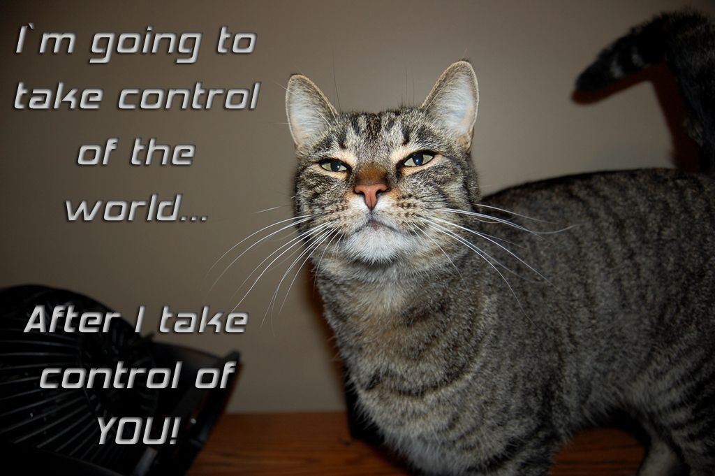 world_domination_cat_by_kravinmorhead-3220357460.jpg