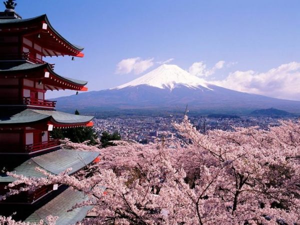 cerisier-japonais-un-temple-magnifique-et-le-sommet-de-la-montagne.jpg
