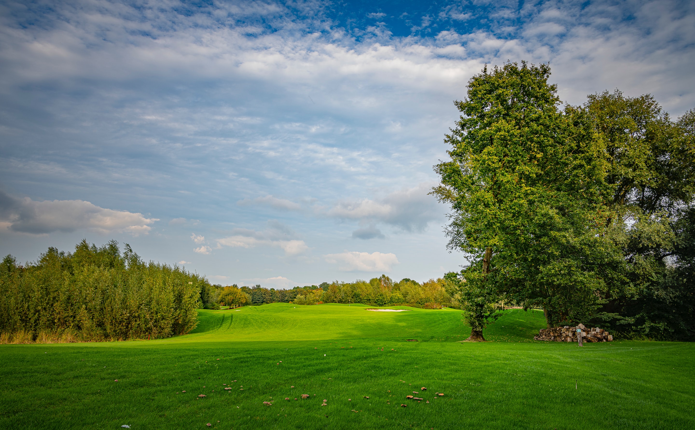 golf-course12.jpg