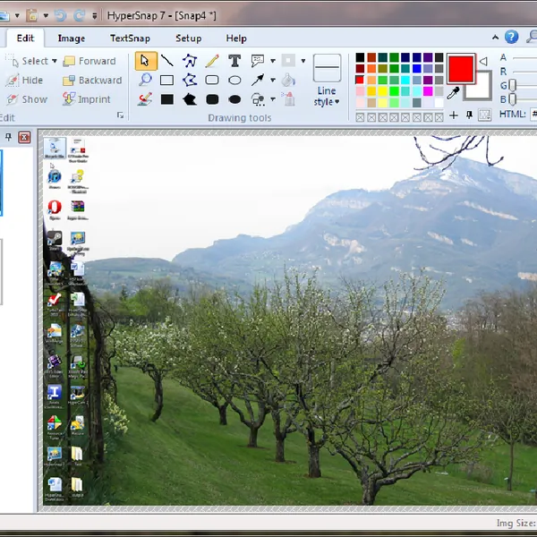 image