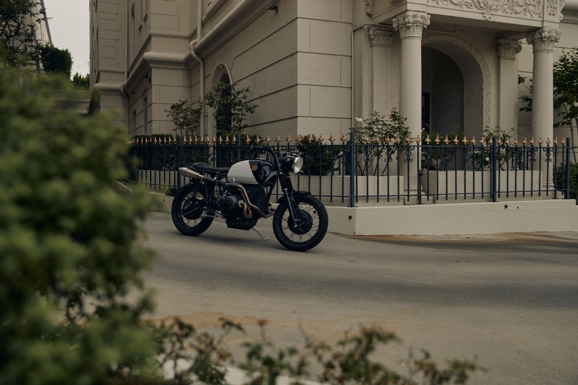 The Pine Commission - Image 2