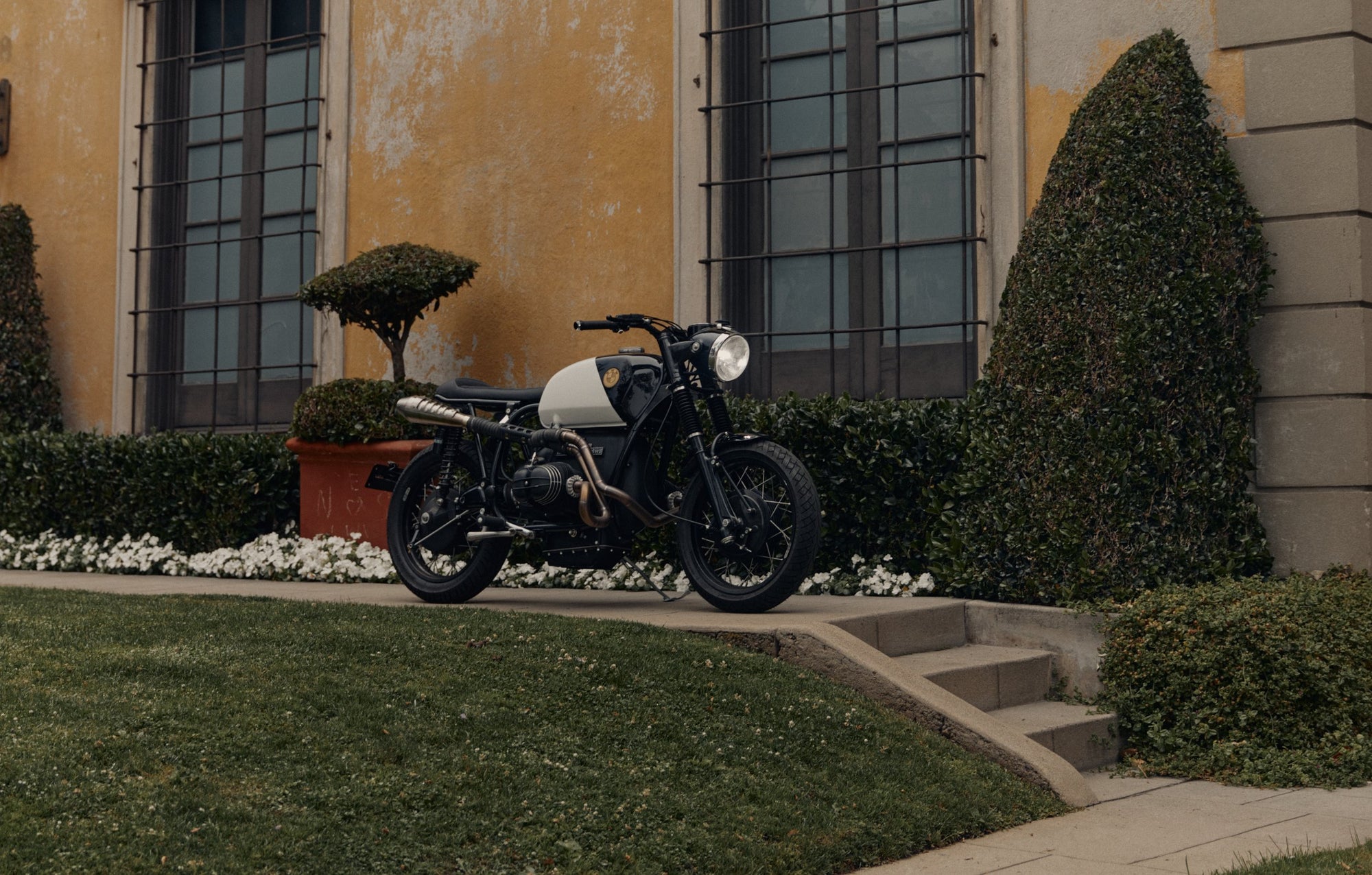 The Pine Commission - Image 3