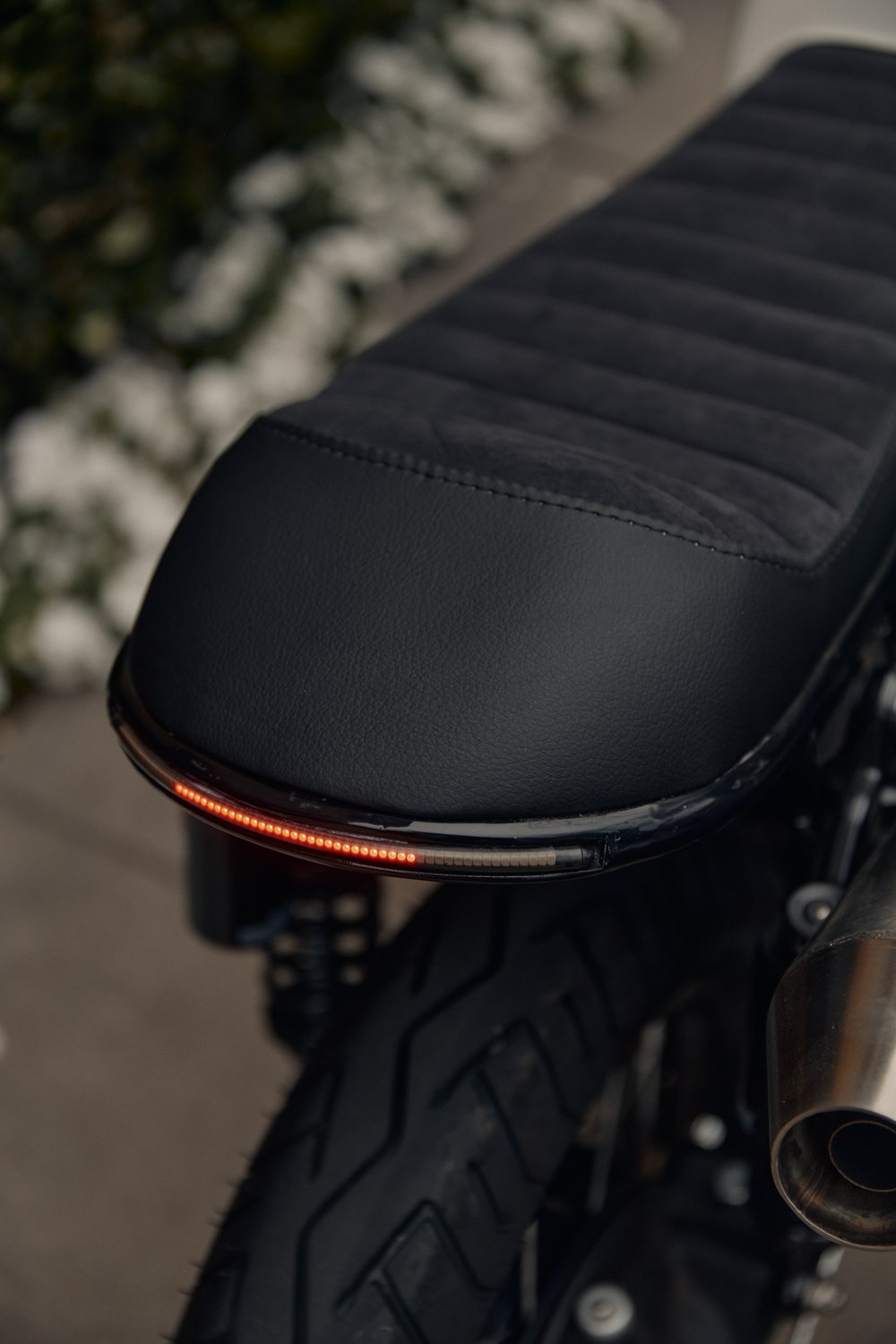 The Pine Commission - Image 6