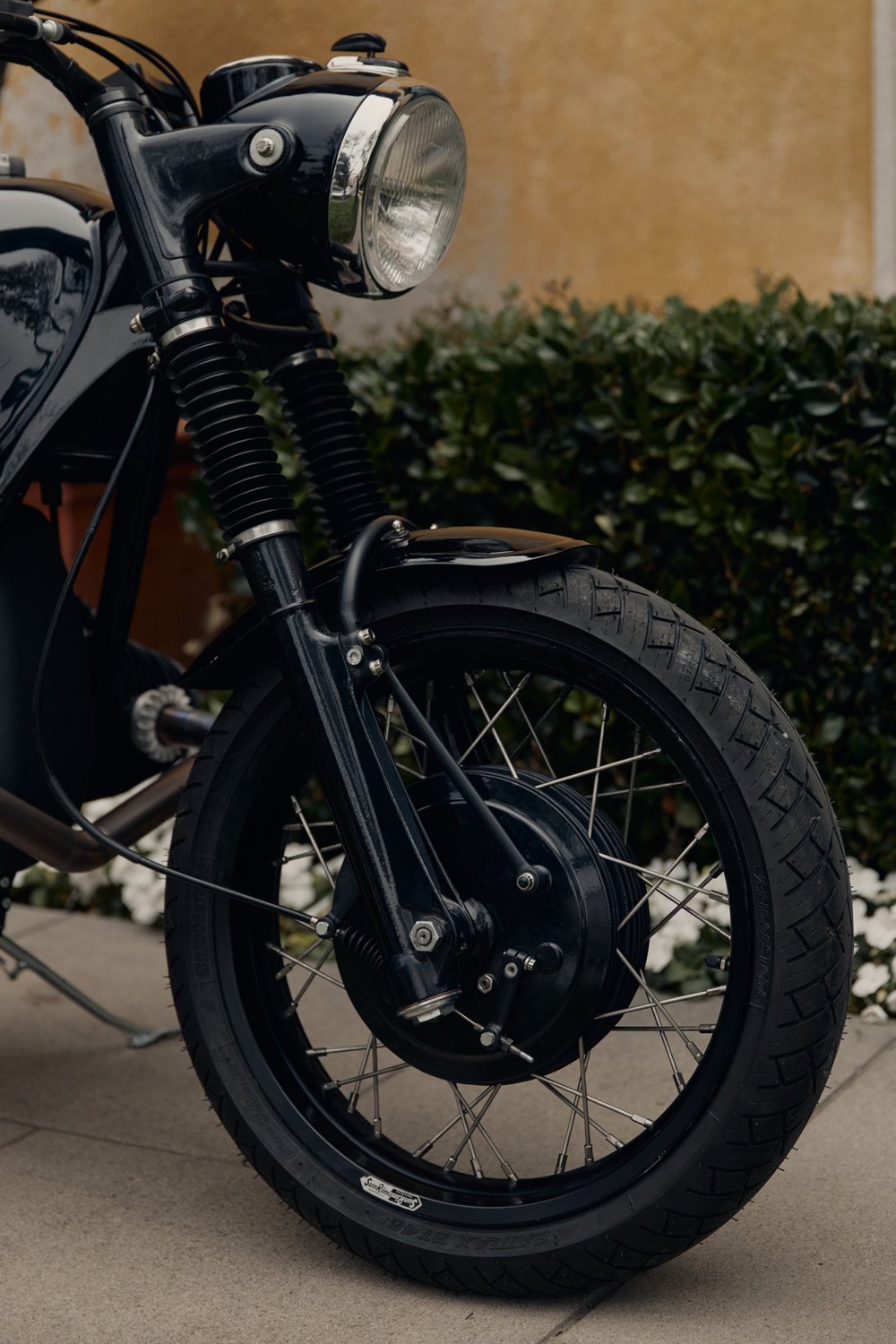 The Pine Commission - Image 8