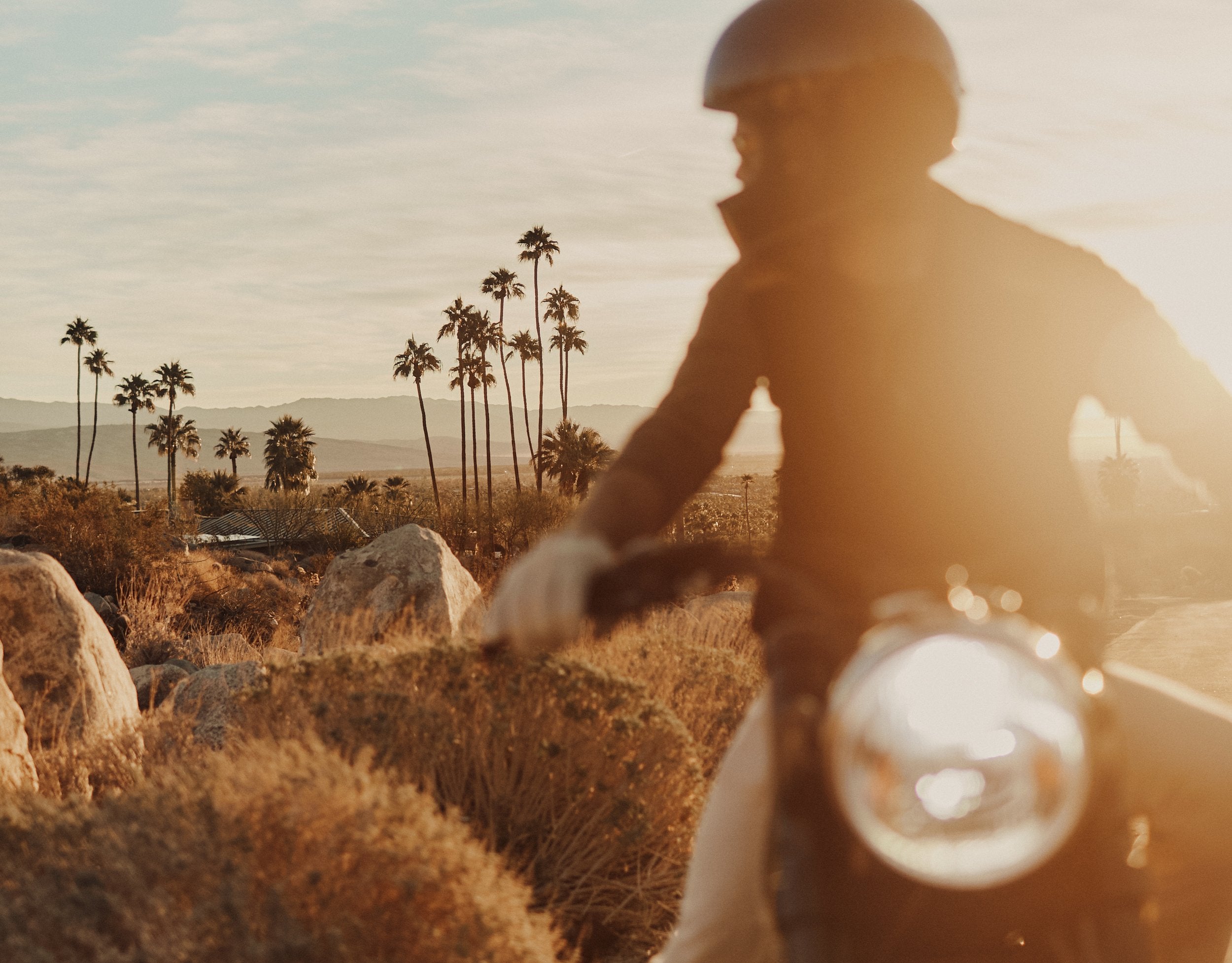 The Platteau Commission - Image 5