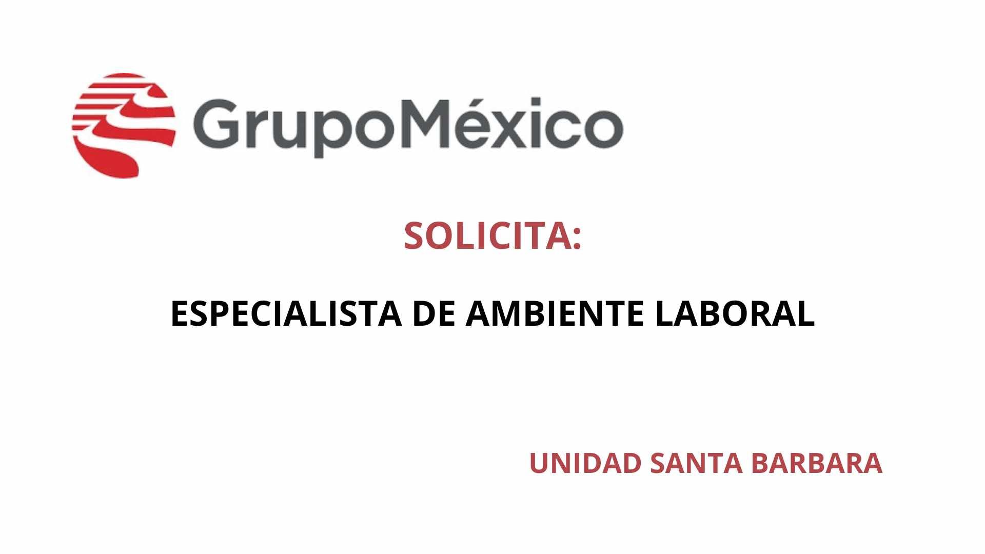 Oportunidad Laboral Grupo México