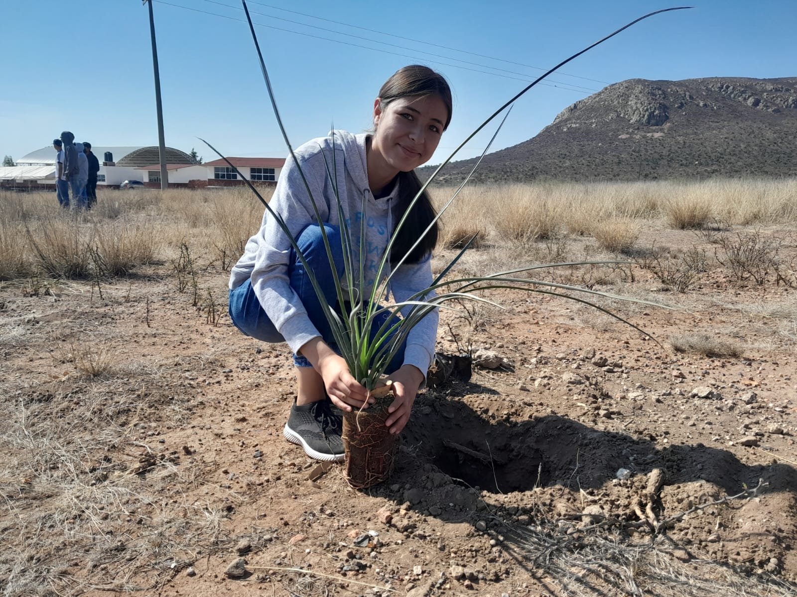 Reforesta Arian Silver y alumnos del CECyTE Saucito con más de 300 palmas yucca
