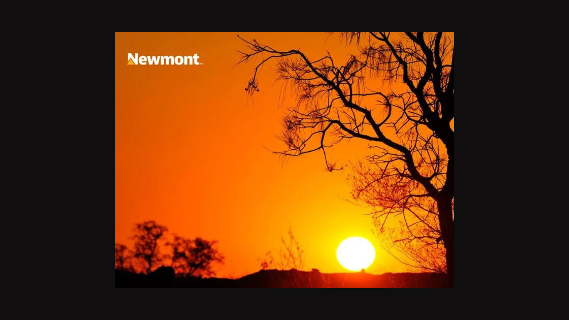 Newmont Corporation: la empresa minera de oro líder en el mundo.