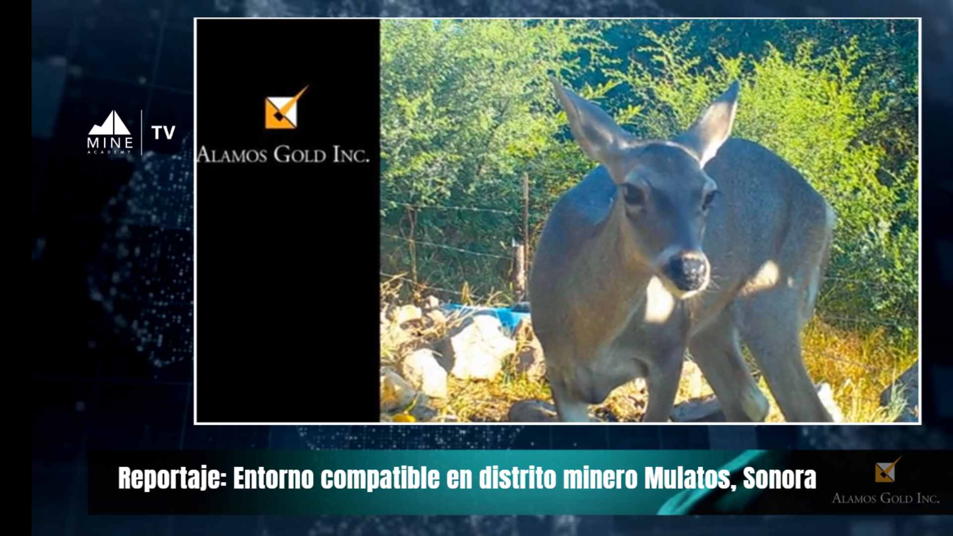 Entorno compatible en distrito minero de Mulatos, Sonora.