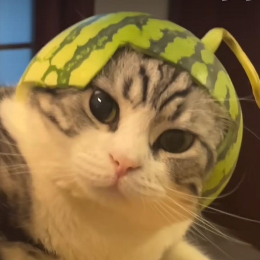 ｍｏｓａｖｉ业余客服 profile picture