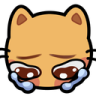 :kitty_cry: