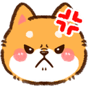 shiba_angry