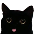 :cat_mlem: