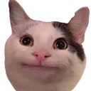 :cat_welp: