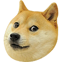 :doge: