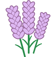 :lavender: