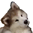 :head_tilt: