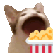 :cat_popcorn: