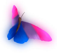 :butterfly_bisexual: