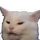 :cat_what: