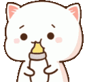 :cat_baby: