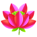 :lotus_flower: