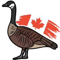 :canada_goose: