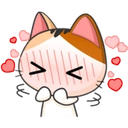 :cat_flustered: