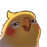 :birb_heh: