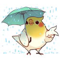 :birb_rain: