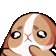 :bunny_reach: