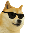 :doge_jam: