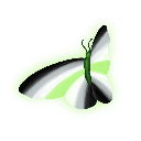 :butterfly_agender: