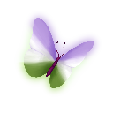 :butterfly_genderqueer: