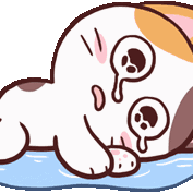 :meong_cry: