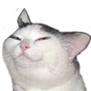 :cat_hmm:
