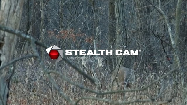 Own the Season TV - Season 3 - Episode 12 - Desert Ram of the Chihuahuan