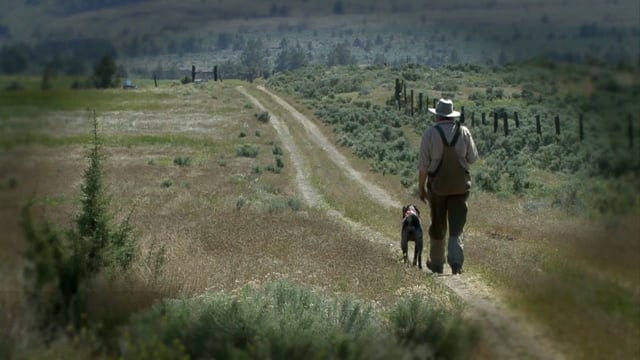 Scott Linden's Upland Nation - Season 2 - Episode 1 - Shoot better, teach your old dog new tricks, find more hunting ground
