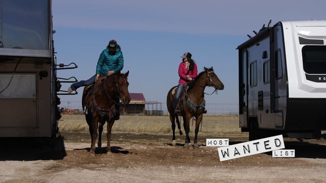 The Most Wanted List - Season 6 - Episode 7 - Oh Deer!