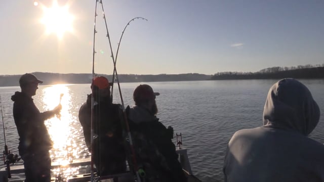 Wildlife Overdose - Season 2 - Episode 6 - Team Spoonbill Trip