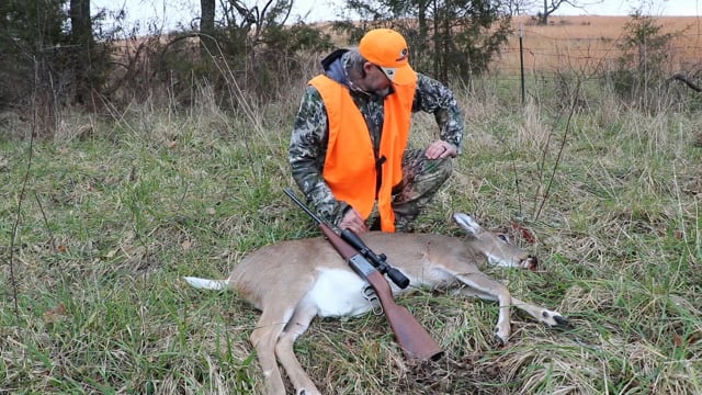 Wildlife Overdose - Season 2 - Episode 5 - Kirby Combo Hunts '21