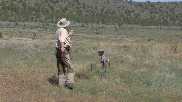 Scott Linden's Upland Nation - Season 1 - Episode 71 - Don't create bad habits with your laziness