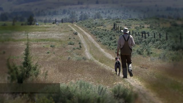 Scott Linden's Upland Nation - Season 1 - Episode 70 - He's a sensitive dog ... help him relax_1