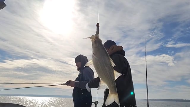 Ryan’s Outdoor Media - Season 3 - Episode 6 - Josh's 2nd Fishing Trip With Riley's Fishing & Guide Service