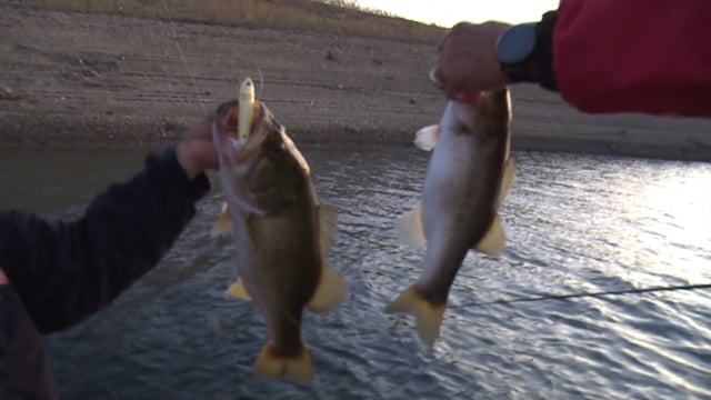 Jimmy Houston Outdoors - Season 23 - Episode 18- Big Bass Lake