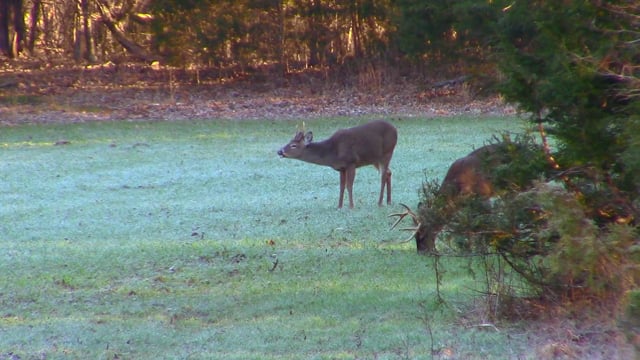 Deception Outdoors - Season 1 - Episode 8 - Doe Patrol Pt. 1