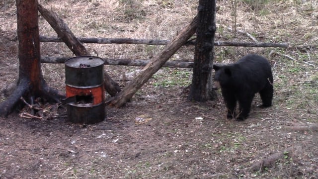 Deception Outdoors - Season 1 - Episode 7 - Canada Bear Hunt