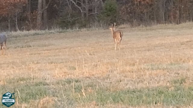 Ryan’s Outdoor Media - Season 3 - Episode 4 - Jeff's Big Buck
